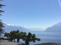 2017-04-29 12-21-15 a875489d